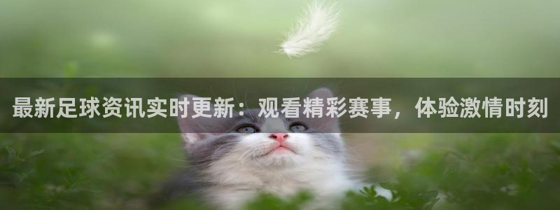 最新足球资讯实时更新：观看精彩赛事，体验激情时刻